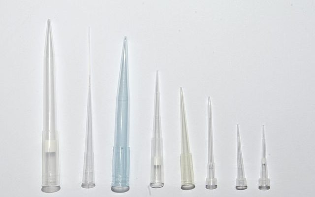 Prompt: Tips on Womanhood